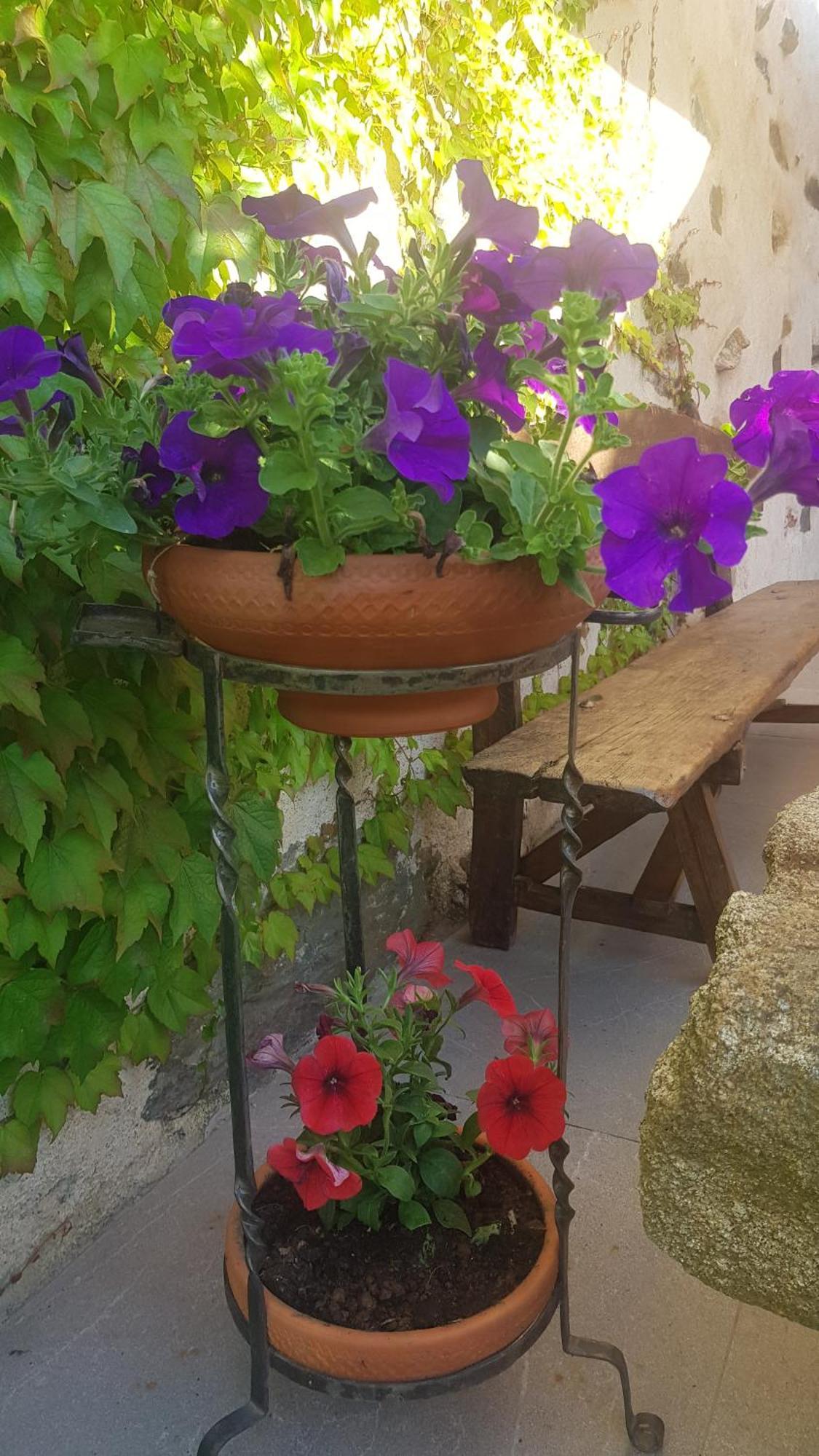 El Cabaco Casa Rural Rincon المظهر الخارجي الصورة
